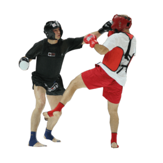 vidi-sporta